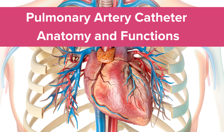 Pulmonary Artery Catheters, Swan Ganz Catheter , ICU Nurse